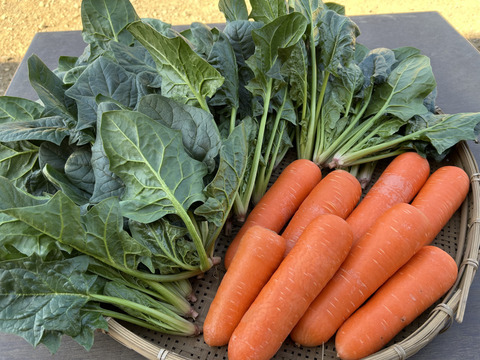 一年で今が一番美味しい！！人参＆ほうれん草！！人参２kg＋ほうれん草１kg【農薬・化学肥料不使用】