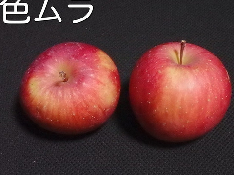 【すぐ出荷OK】葉とらずサンふじ　家庭用B品　3キロ箱（3.2キロぐらい入ります）　JA基準より60％減の低農薬栽培