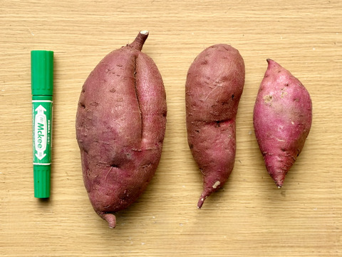 訳ありでもホクホクむっちり！「栗かぐや」色々なサイズ入り 3キロ箱