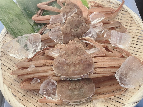 北海道産　漁師の店　ズワイガニ