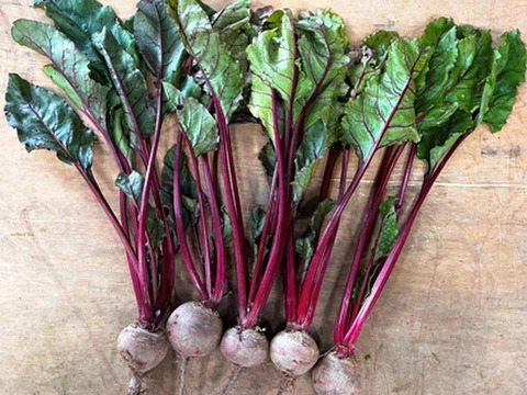 最終！！食べる血液といわれるスーパーフード　ビーツ！！数量限定