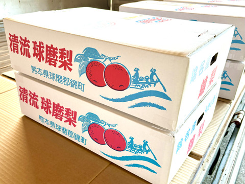 梨の王様！『清流球磨梨』新高　約10kg【5kg箱(5～14個入り)を2箱重ねてお届け】