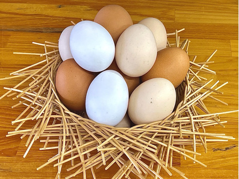国産鶏種「もみじ」の卵黄のみを使用したなめらかプリン６個