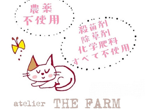 農薬不使用だから安心！愛知県産さつまいも（紅はるか）2L−4Lサイズ　5kg　【一般お客様向け残り10kg（2箱）！】
※その他法人さま向け※食べチョクアワード副賞用として3箱は受注済みです。