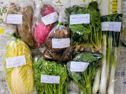 【美味しい野菜をお届けします】　季節の野菜セット『採れTakara☆彡』7品