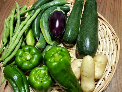 【お試しサイズ】生命力溢れる季節の野菜セット5品種(野菜を食べて笑顔になろう！)