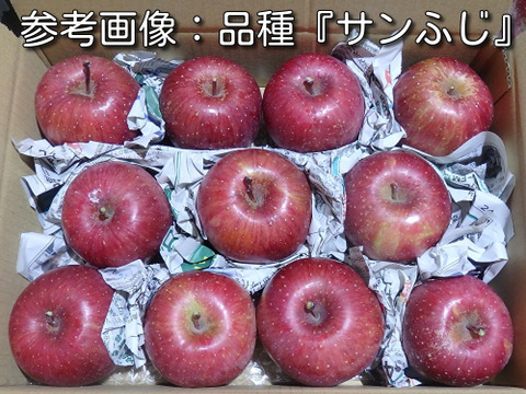 サンふじ＋はるか　家庭用　3キロ【葉とらず】JA基準より60％減の低農薬栽培　11月20日～【りんご食べ比べ】