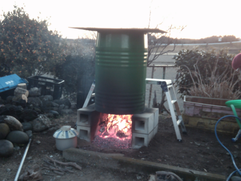 原木から育てた舞茸【今だけ！！秋限定】原木栽培
800g　高鮮度保持フィルムで包装