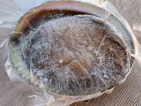 素潜り漁師直送！伊豆の美味しい　アワビ　鮑　あわび -本日の１点物　アワビ　鮑　-60度急速冷凍　5枚で 1223g（傷物、訳あり品）品番W