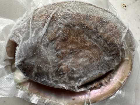 素潜り漁師直送！伊豆の美味しい　アワビ　鮑　あわび -本日の１点物　アワビ　鮑　-60度急速冷凍　5枚で １１３３g（傷物、訳あり品）品番ウ