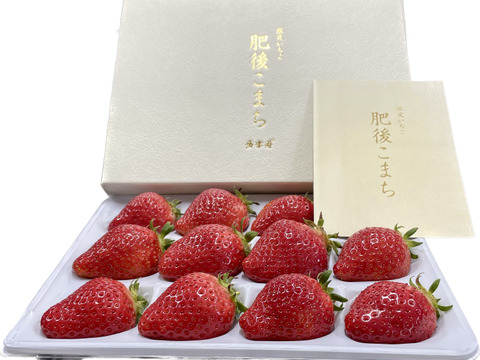 🥇いちごグランプリ金賞受賞！希少品種！『肥後こまち』化粧箱400g 贈答用 12〜15玉