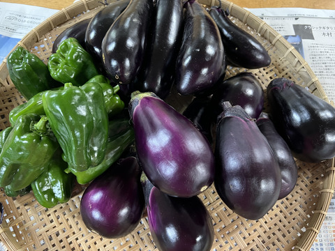 【淡路島より旬をお届け】どーんとなす　水ナス　ピーマン 【朝どれ！新鮮！！】