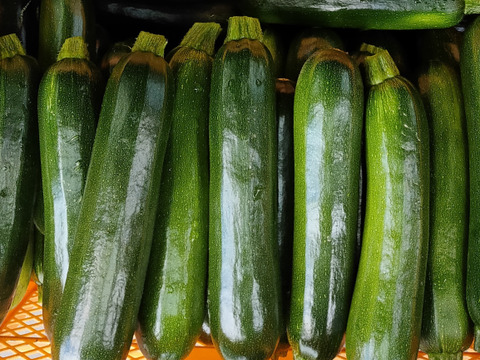 【有機JAS認証】【有機ズッキーニ5本】鮮度抜群の取れたて有機ズッキーニ5本入！ズッキーニ好きにはたまらない、コクのある美味しさです！大きすぎず、小さすぎず！ずっしりとしたサイズ感！