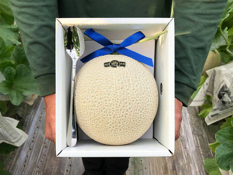 【父の日ギフト】1玉入り外まで甘いマスクメロン