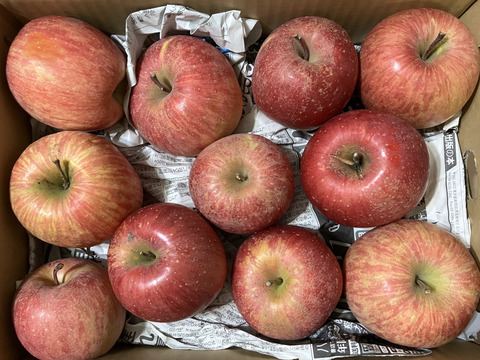 12月より発送【ご家庭用訳あり！】樹上完熟！！サンふじ(5kg)