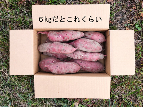 【有機JAS認証 紅はるか3kg,6kgまで送料同額！】サツマイモ好きが選ぶのはこの品種！ねっとりとした食感！極甘！10月に収穫し追熟完了！京都大原の棚田から今がまさに食べごろのサツマイモのご案内！