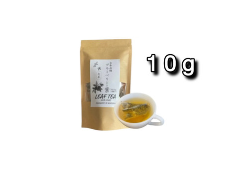 【お試しメール便】ブルーベリー葉のお茶・10g【ネイティブアメリカンの伝統茶】※格安送料¥350