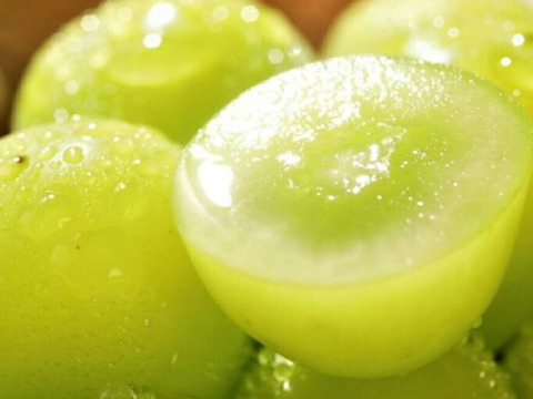 山梨県シャインマスカット家庭用3房