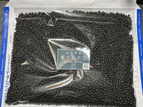 【自然栽培】丹沢山麓の幻の黒千石大豆500g　農薬不使用・肥料不使用 メール便発送