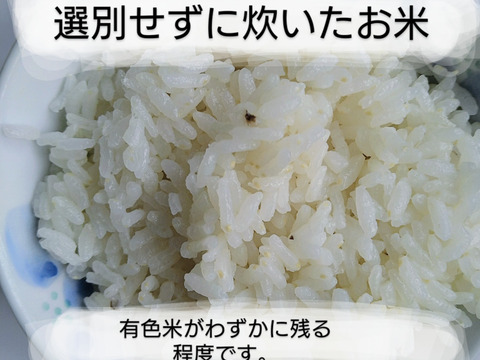 【家族のためのお米(9kg)を食べてみませんか】米粒成長期の農薬ゼロなので有色米が混じっていますが、とてもおいしいです。ひとめぼれ9kg　標準精米、玄米も可。残りわずかです。