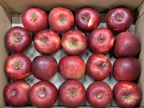 【加工用バラ詰め】小玉の紅玉!! スイーツ、お菓子、加工用・業務用🍎約2.7Kg青森県産