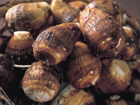 短形自然薯約500ｇ＊里芋1ｋ
冬越え！粘り元気セット～農薬/化学肥料・不使用