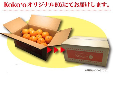 ※今季販売終了※カラマンダリン＜優品＞　約５kg　※発送時期は4月中旬～5月中旬頃となります。