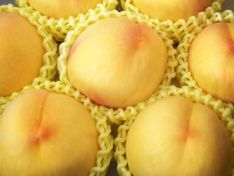 【数量限定】桃ファン必見！お得な桃訳あり品🍑4kg詰め合わせ！(2kg×2)