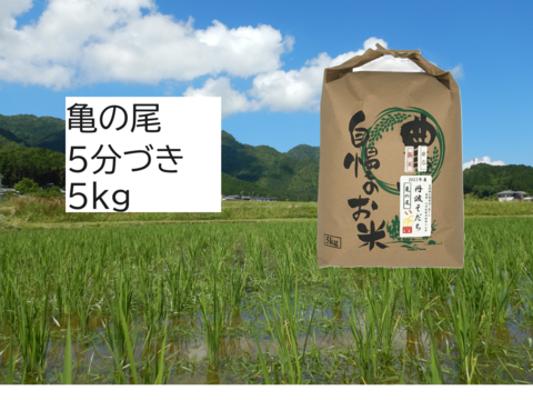 自然栽培のお米『亀の尾』5分づき５kg