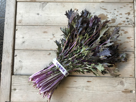 京の旬野菜セット--9種--【漢方栽培】