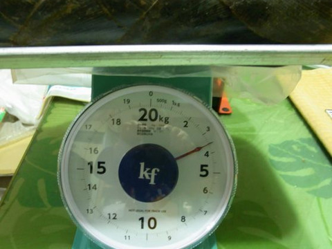 【最短発送】兵庫産朝掘りたけのこ3.5kg