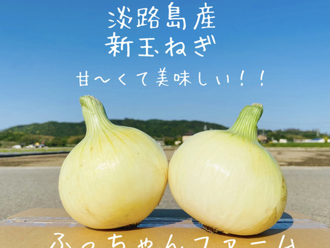 【淡路島産】 地元農家でも評判の甘くて美味しい新玉ねぎ七宝 3kg