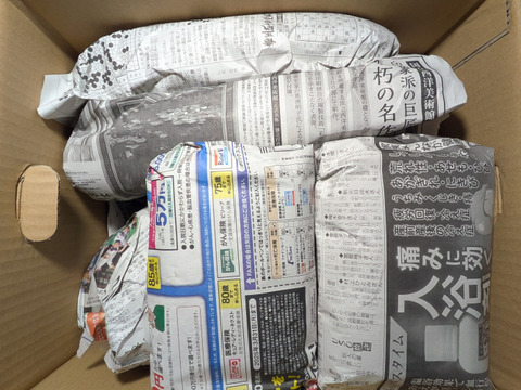 キャベツ、ダイコン、ニンニク、リンゴ、ラ・フランス