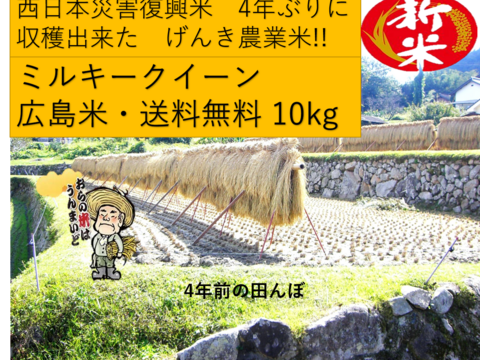 【災害復興米】広島米R４年　モチモチの新米ミルキークイーン10kg（5kg×2袋）