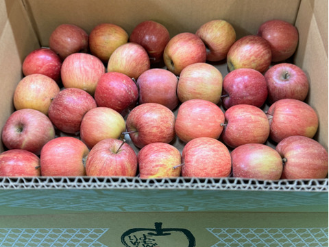 ★すぐに出荷★【加工用バラ詰め】サンふじ約4.5Kg　生食、ジュース、スイーツ、コンポート、すりおろし林檎　加工用・業務用🍎　青森県産