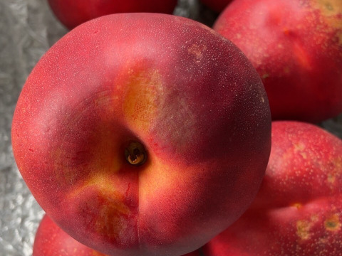 濃厚ネクタリン 黎明 B品(約3㎏)