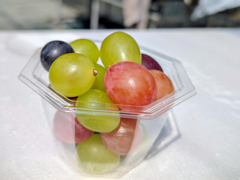 【一粒の甘さ】ぶどう食べ比べセット180g程度×5p