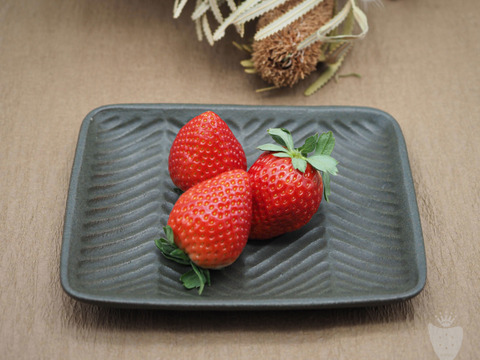 あま〜い♡がギュッとつまった新品種『とちあいか』3箱12パック(1箱で満足1,4kg以上)