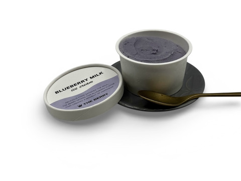 牧場ミルク×茨城県産ブルーベリー｜ブルーベリーミルクアイス6個