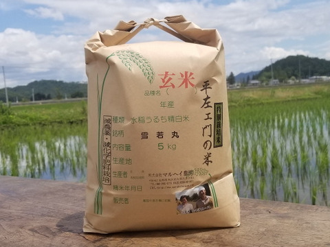令和5年産　特別栽培米雪若丸玄米5kg