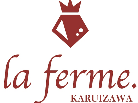 長野県産　夏秋イチゴ「すずあかね」1箱【250g～300ｇ×２トレー】