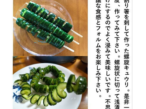 朝採りシャキッとパリッとキュウリ 鮮度抜群！12本/約1kg
