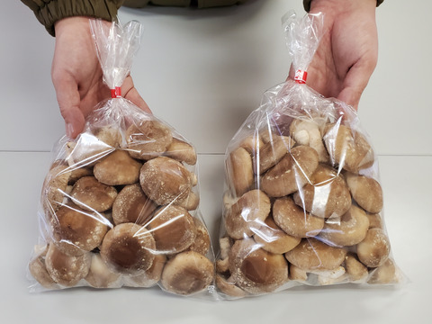 新鮮！用途多彩！生しいたけ（菌床）　1kg