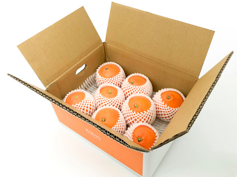 【予約】せとか〈家庭用・優品・小箱〉約1.8kg　※発送は2月中旬頃開始予定