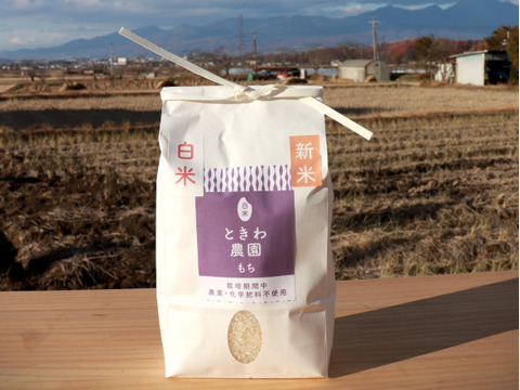【令和7年産】農薬・化学肥料不使用　長野県産もち米【白米3kg】