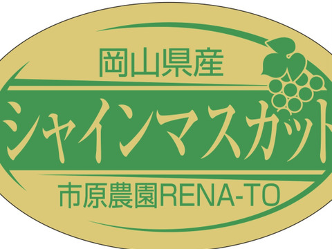 岡山県産【訳あり✨2色セット💚🖤】タイム価格✨シャインマスカット&オーロラブラック2kg
