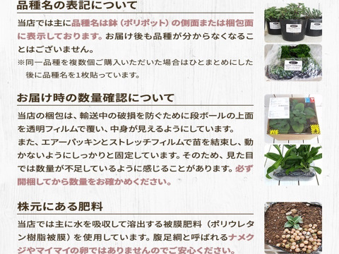 2個セット アクイレギア ローズバローオダマキ 宿根草 多年草