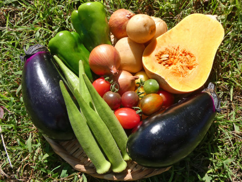 一人暮らしの方に・季節の野菜セット５～７品（Ｓサイズ・1～1.5kg前後）【お試しサイズ】