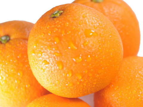 濃厚完熟　蔵出し　愛媛中島産ネーブル　優品・1.8ｋｇ