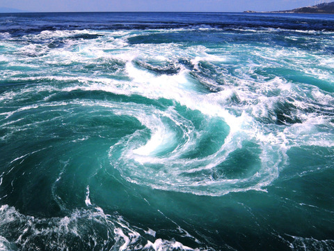 【徳島県産】 天然鳴門鯛「鯛しゃぶセット」（冷凍 3～4人前）